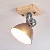 Svanfolk Plafoniera Blu, Marrone, Grigio, Bianco, 1-Luce