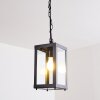 Caudry Lampadario a sospensione Nero, 1-Luce