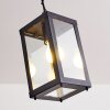 Caudry Lampadario a sospensione Nero, 1-Luce