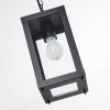 Caudry Lampadario a sospensione Nero, 1-Luce