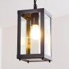 Caudry Lampadario a sospensione Nero, 1-Luce