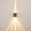 Mora Applique da esterno LED Grigio, 2-Luci