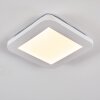 Siguna Plafoniera LED Bianco, 1-Luce