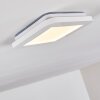 Siguna Plafoniera LED Bianco, 1-Luce