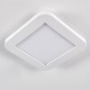 Siguna Plafoniera LED Bianco, 1-Luce