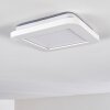 Siguna Plafoniera LED Bianco, 1-Luce