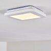 Siguna Plafoniera LED Bianco, 1-Luce