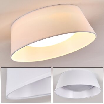 Negio Plafoniera LED Bianco, 1-Luce