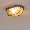 Catawba Plafoniera Grigio, 1-Luce