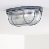 Catawba Plafoniera Grigio, 1-Luce