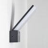 Heraklion Applique da esterno LED Antracite, 1-Luce