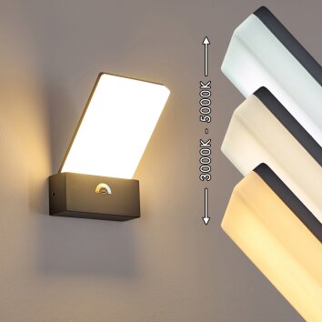 Heraklion Applique da esterno LED Antracite, 1-Luce