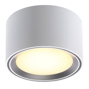 Nordlux FALLON Plafoniera Acciaio inox, 1-Luce