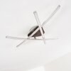Deneb Plafoniera LED Nichel opaco, 3-Luci