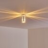 Gempen Plafoniera Acciaio satinato, 1-Luce