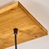 Shiburg Lampada a Sospensione Legno chiaro, 4-Luci