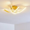 Plafoniera Aranu LED Oro, 4-Luci