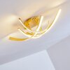 Plafoniera Aranu LED Oro, 4-Luci