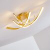 Plafoniera Aranu LED Oro, 4-Luci