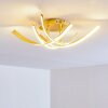 Plafoniera Aranu LED Oro, 4-Luci