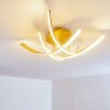 Plafoniera Aranu LED Oro, 4-Luci