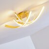 Plafoniera Aranu LED Oro, 4-Luci