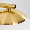 Chemung Applique Ottone, 1-Luce