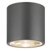 LCD Typ 065 Plafoniera Grigio, 1-Luce