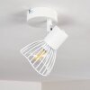 Plafoniera Holbol Bianco, 1-Luce