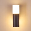 Applique da esterno Baulund LED Antracite, 1-Luce