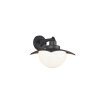 Trio Donez Applique Antracite, 1-Luce