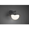 Trio Donez Applique Antracite, 1-Luce