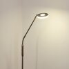 Gulkana Lampada da terra LED Nichel opaco, 1-Luce, Cambia colore