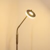 Gulkana Lampada da terra LED Nichel opaco, 1-Luce, Cambia colore