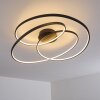 Chute Plafoniera LED Nero, 1-Luce