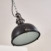 Lampadario a sospensione Ilvy LED Nero, 1-Luce