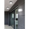 Reality Kendal Applique LED Bianco, 1-Luce