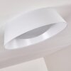 Negio Plafoniera LED Bianco, 1-Luce