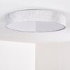 Tallaboa Plafoniera LED Argento, 1-Luce, Telecomando