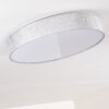 Tallaboa Plafoniera LED Argento, 1-Luce, Telecomando