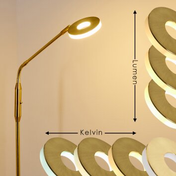 Gulkana Lampada da terra LED Oro, 1-Luce