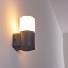 Applique da esterno Schafhaus Antracite, 1-Luce