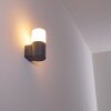 Applique da esterno Schafhaus Antracite, 1-Luce