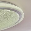 Rufi Plafoniera LED Bianco, 1-Luce, Telecomando