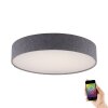 Paul Neuhaus Q-KIARA Plafoniera LED Grigio, 1-Luce, Telecomando