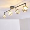 Covane Plafoniera LED Blu, Grigio, 4-Luci