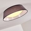 Negio Plafoniera LED Grigio, Bianco, 1-Luce