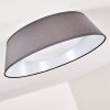 Negio Plafoniera LED Grigio, Bianco, 1-Luce