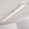 Ailik Plafoniera LED Bianco, 1-Luce, Telecomando