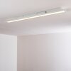 Ailik Plafoniera LED Bianco, 1-Luce, Telecomando